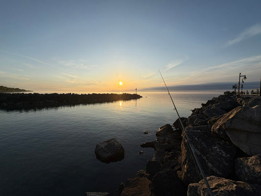 May Bass Fishing Tips: Tactics for a Strong Start to the Season