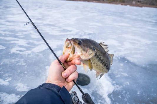 December Bass Fishing