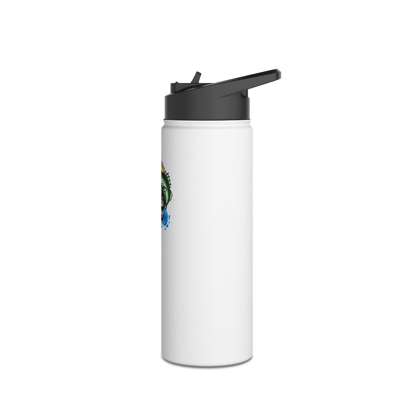 Stainless Steel Water Bottle